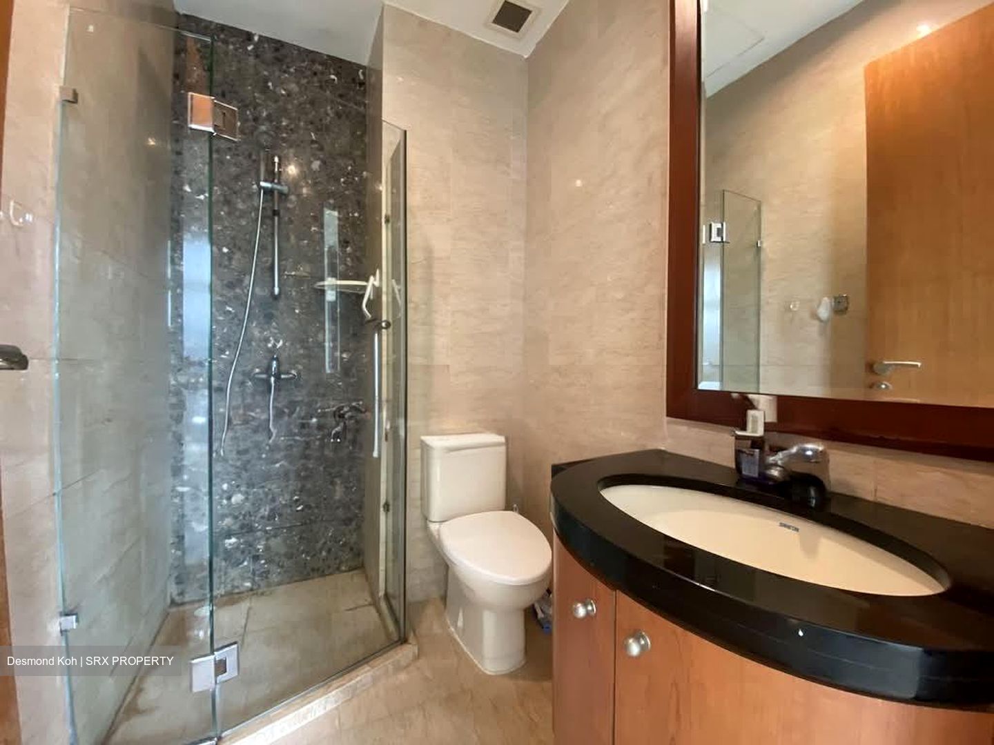 The Aston (D10), Apartment #573173071